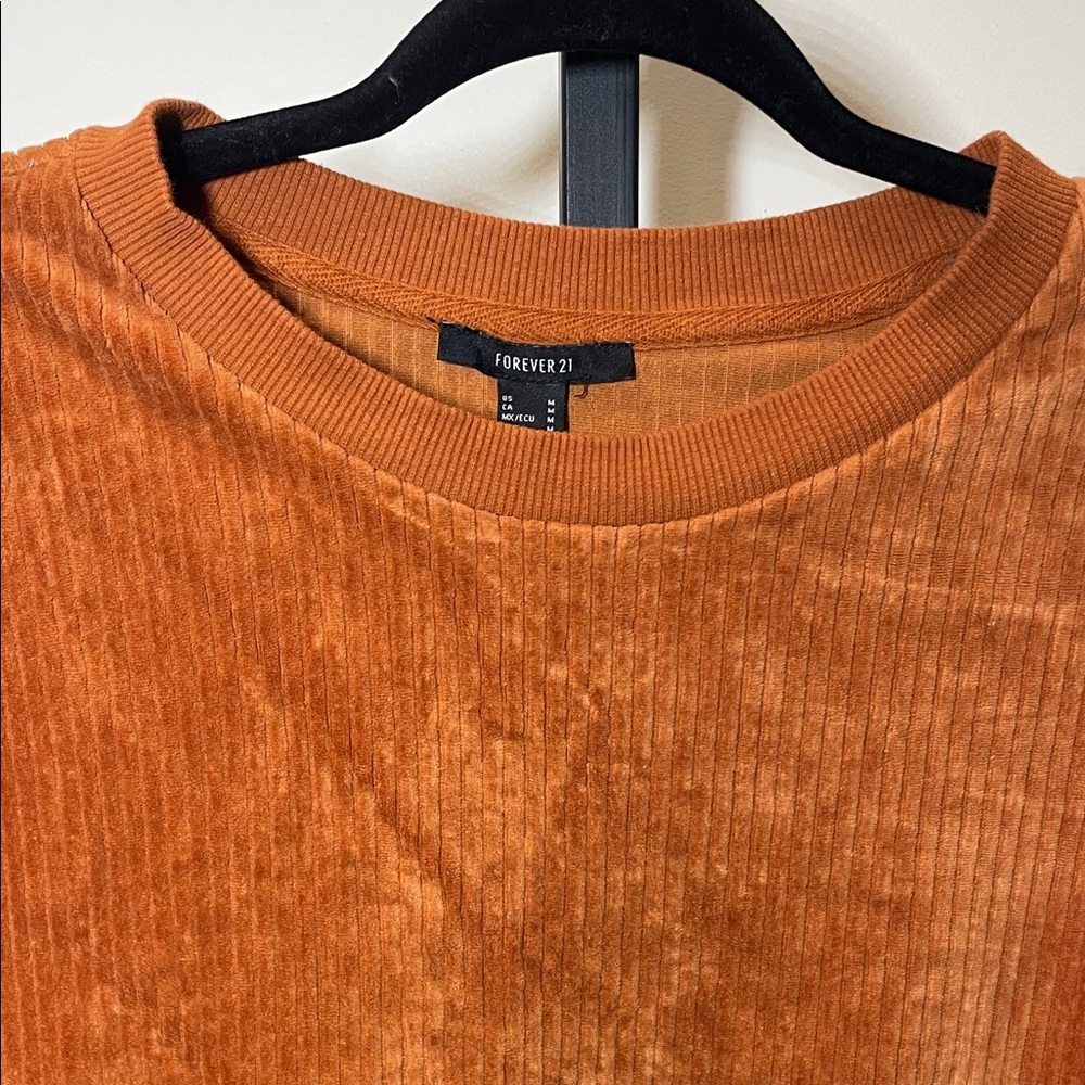 Forever 21 Burnt Orange Velvet Sweatshirt - Picture 3 of 6